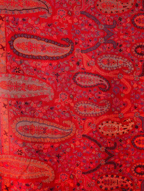 Women's Kani Wool Shawl